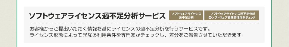 ソフトウェアライセンス過不足分析サービス