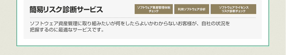簡易リスク診断サービス