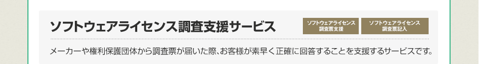 ソフトウェアライセンス調査支援サービス