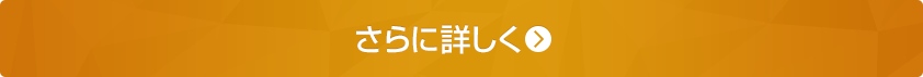 さらに詳しく