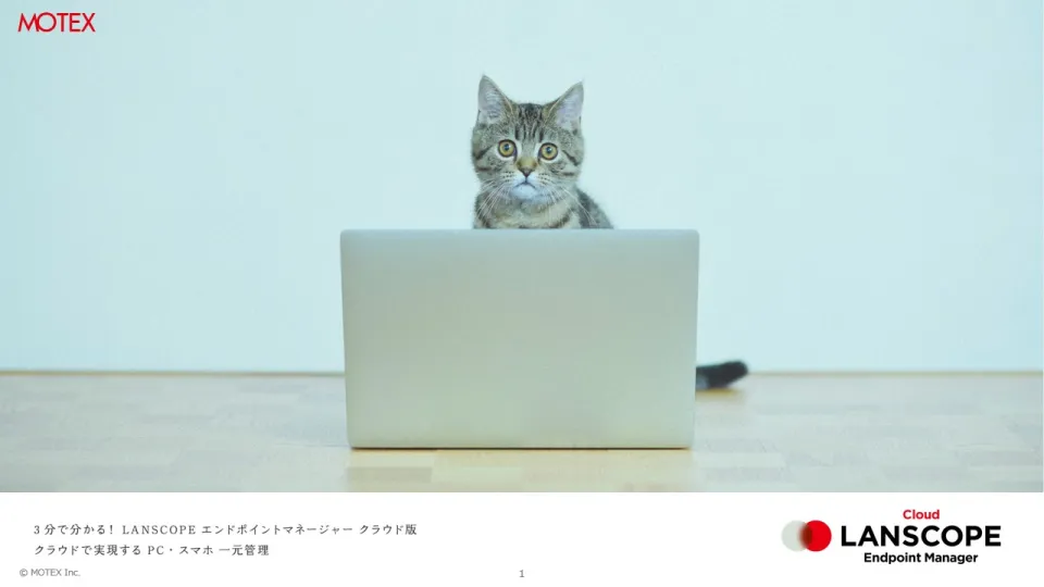 LANSCOPEのキャプチャ画像