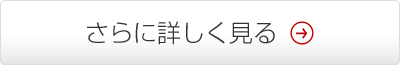 さらに詳しく見る