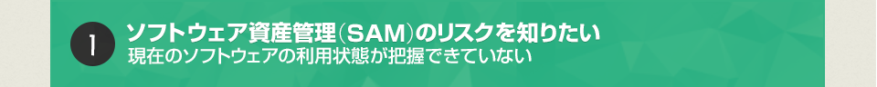 ソフトウェア資産管理（SAM）のリスクを知りたい