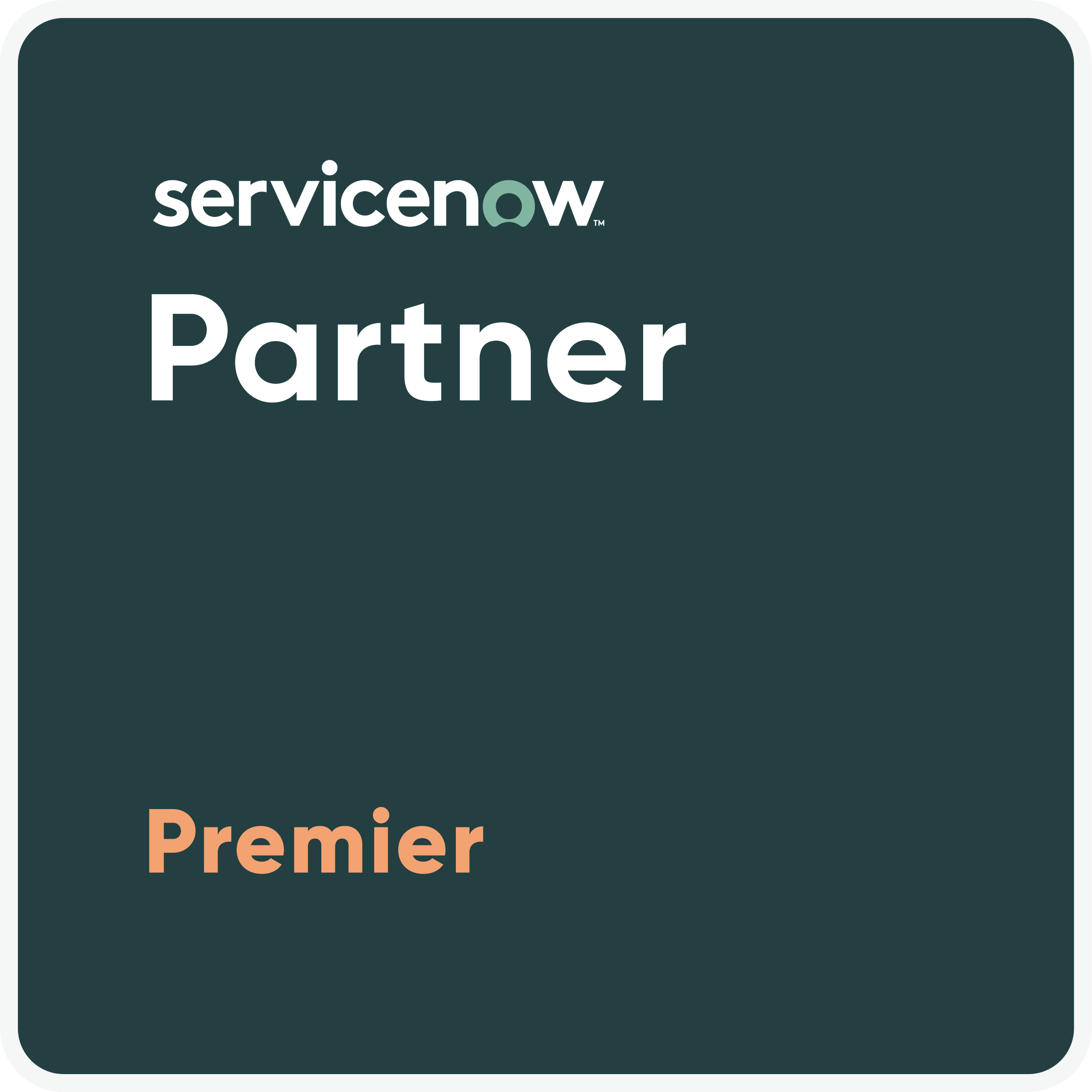 servicenow partner