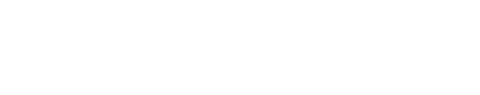 LANSCOPE Professional Service